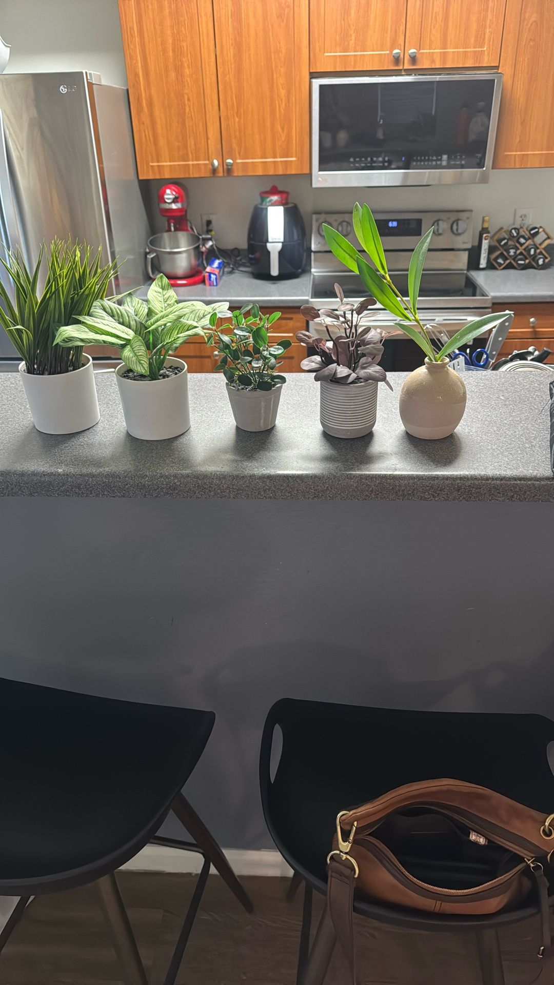 5 Fake Plants