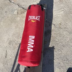 Everlast Punching Bag MMA