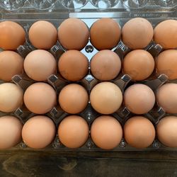 Free Range Chicken Eggs