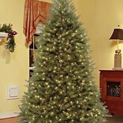 9 ft. Pre-Lit Dunhill Fir Tree with Clear Lights