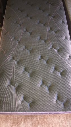 Purple Rejuvenate Premier Twin XL