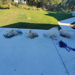 Castnets