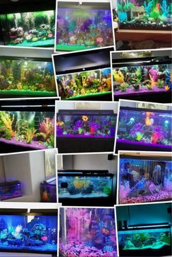🔥 FAST SALE – BEST REASONABLE OFFER