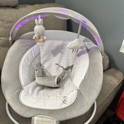 Ingenuity Baby Bouncer 