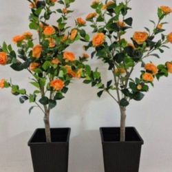 *** NEW LOW PRICE *** PAIR of 5ft Faux Camellias in 24in Black Resin Planters @ Lasting Creations