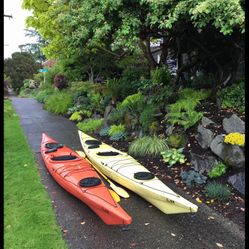 Kayaks P&H Easky