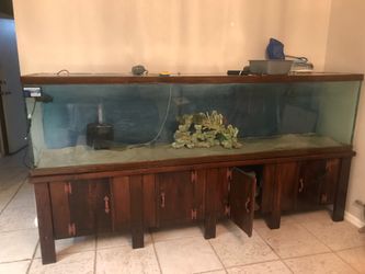 8’ 180 gal show tank