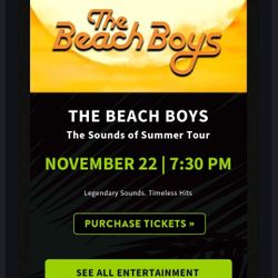 Beach Boys 💓 🏖️⛱️