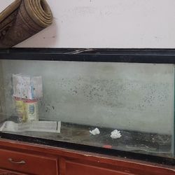 55 Gallon Fish 1 Of 2
