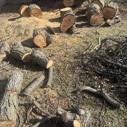 Free Firewood Leña Gratis 