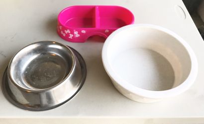 Dog Bowl