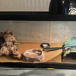 Full 40 Gallon Reptile Enclosure Setup 