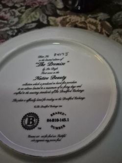 Collector Plates