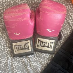 Everlast Boxing Gloves 