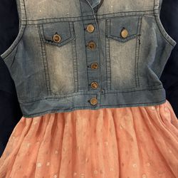 Little Girls 4-6X Sleeveless Faux-Vested Denim Bodice/Foil-Printed Tutu-Skirted Dress