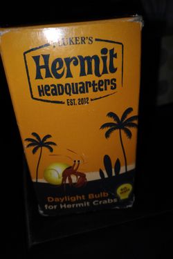 Hermit headquarters light