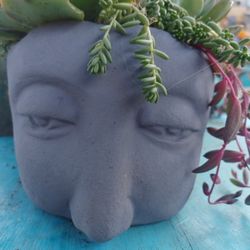 Head PLANTER  with  SUCCULENTS 