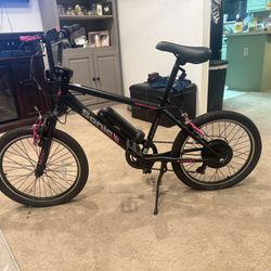 Electric Bike