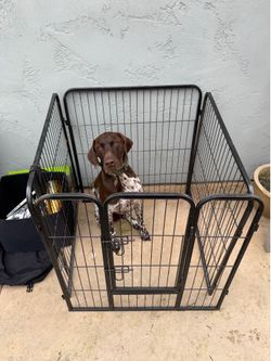 Dog pen