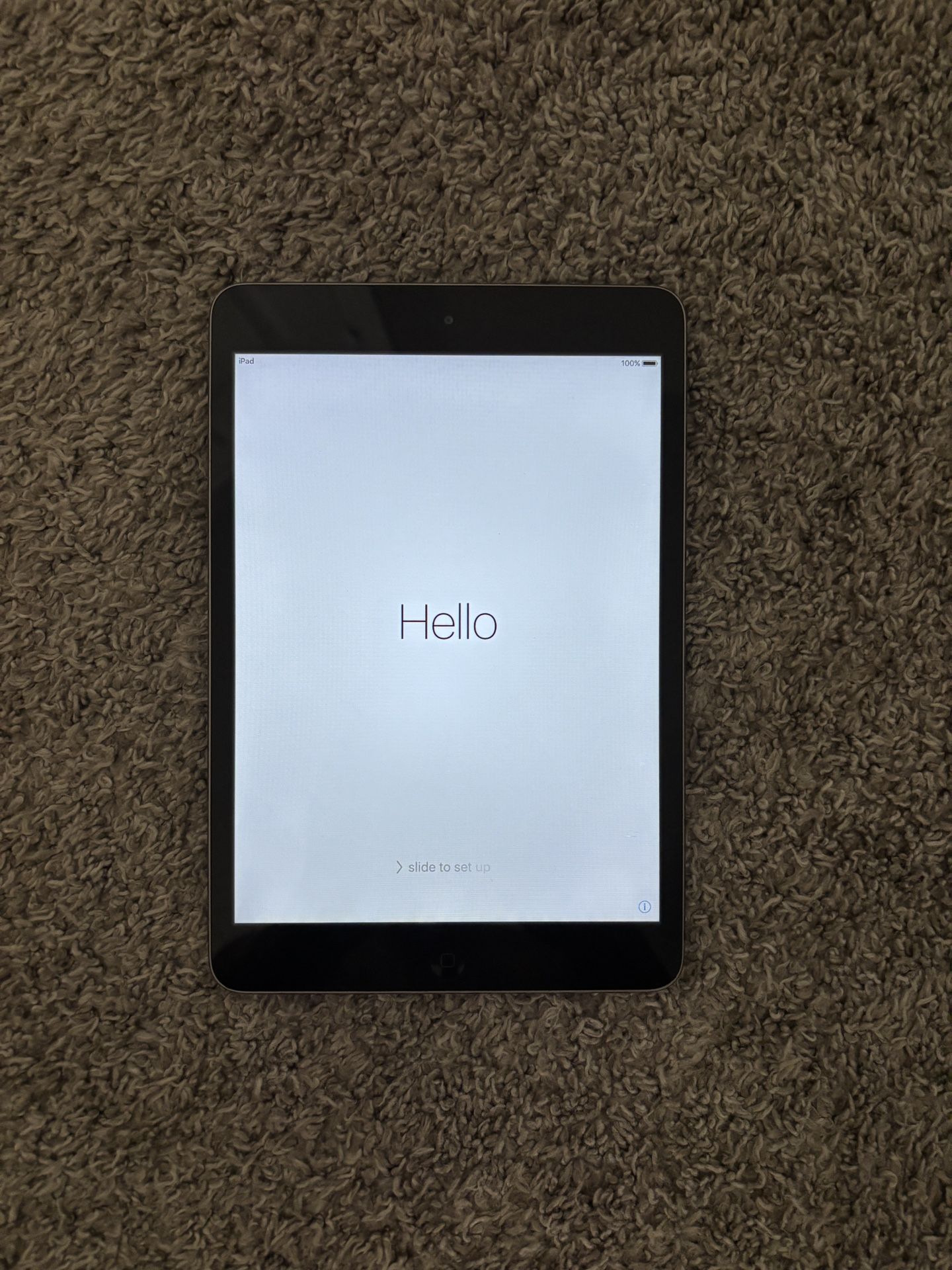 1st Gen iPad Mini 