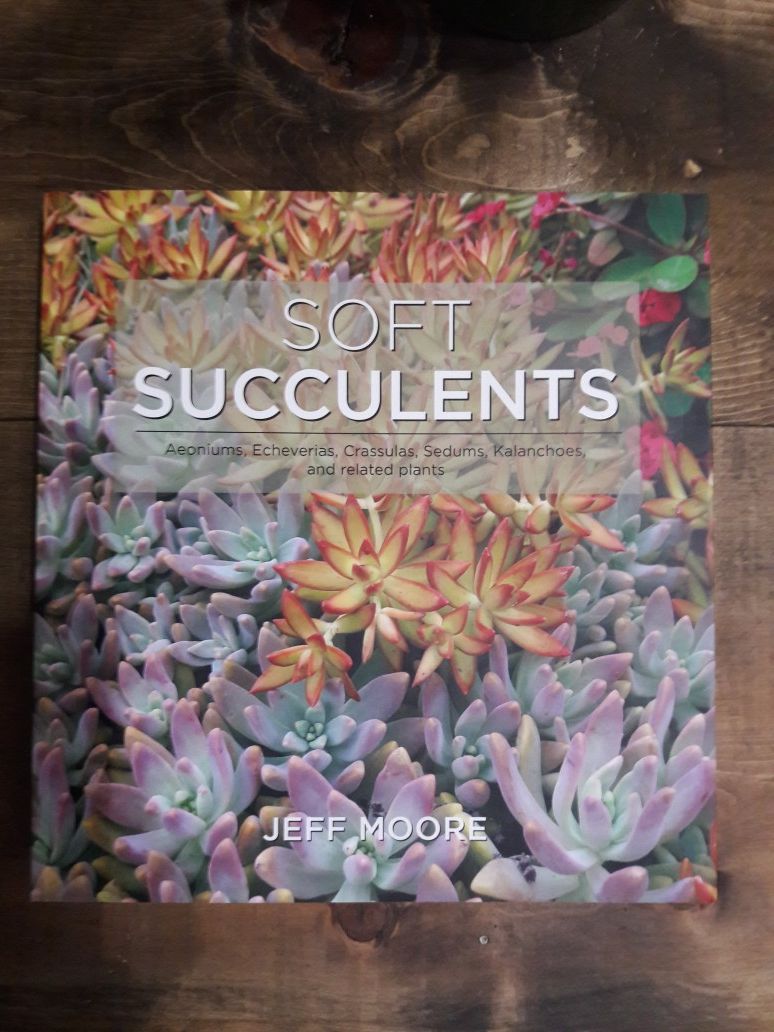 Book, Soft Succulents