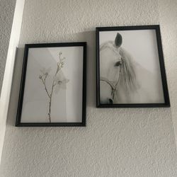 Set of 2 Minimalist Framed Wall Art (Horse + Floral)
