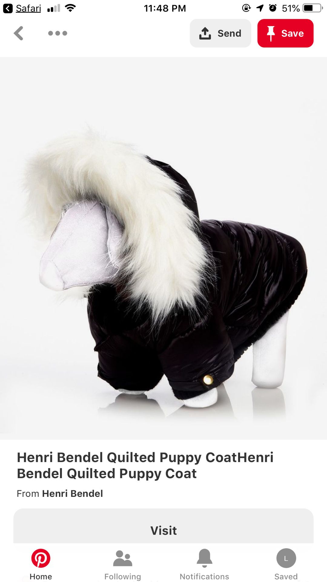 Henri Bendel dog coat with detachable hat