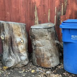 FREE Aleppo Pine Trunks MUST GO NOW