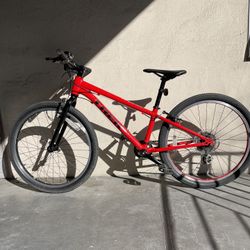 Trek Wahoo 24 Inch Kids Bike