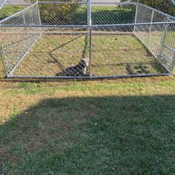 DOG KENNEL 