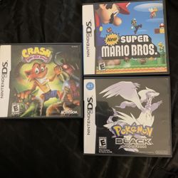 Nintendo DS Cases Games
