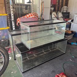 Fish Tank