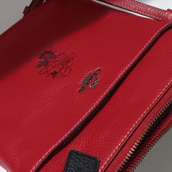 Disney X Coach Crossbody Disney Motif, Minnie Mouse