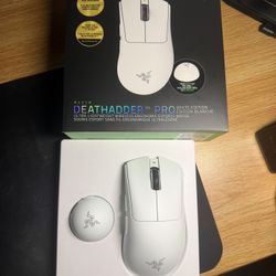 Razer Deathadder V4 Pro