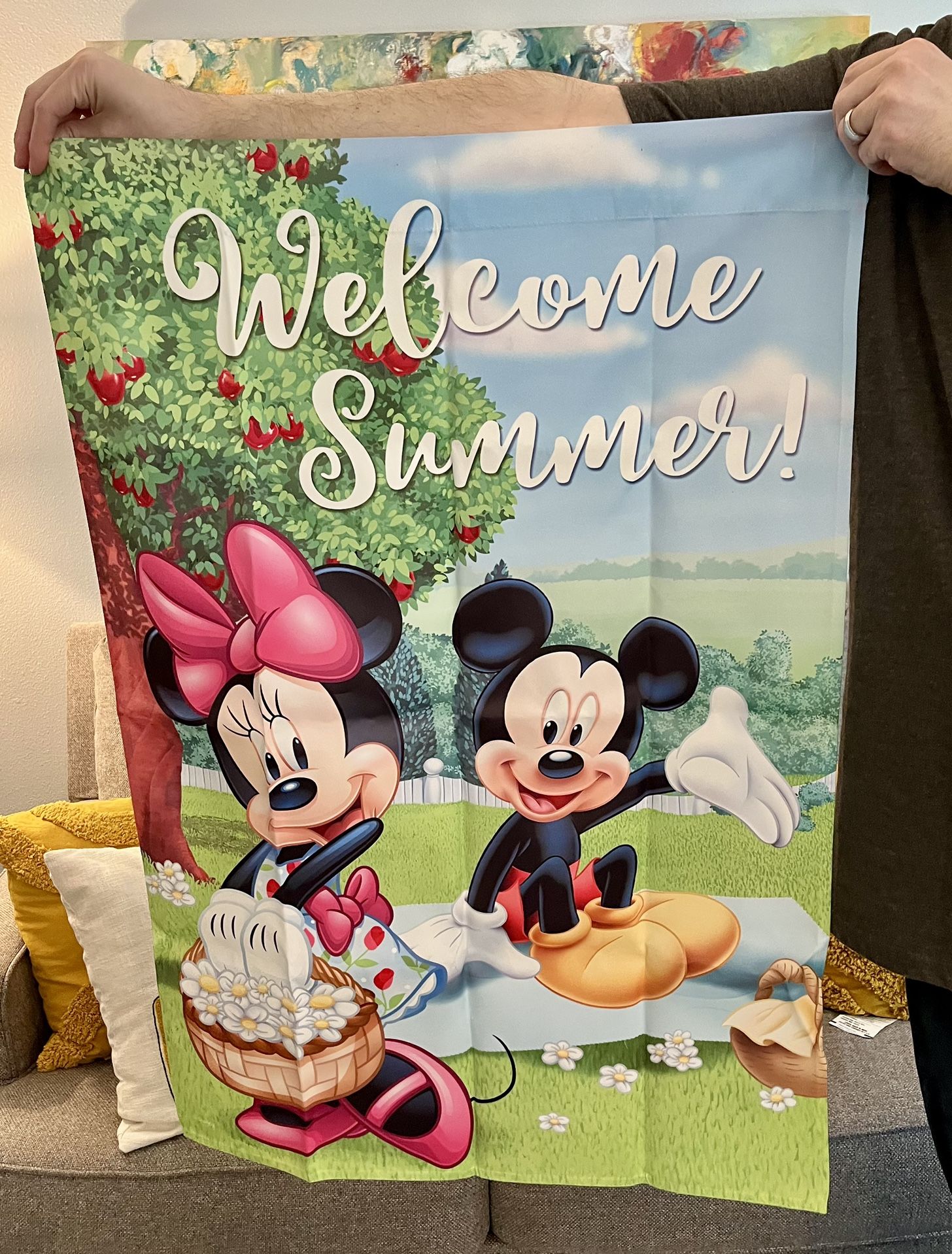 Disney Outdoor Flag Collection