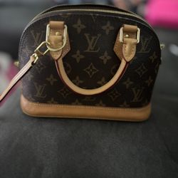 LV Alma bb OBO