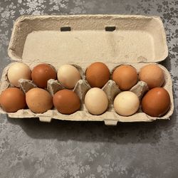 Organic Eggs!
