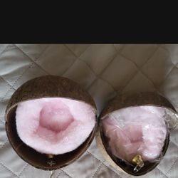 Coconut Bird Nest 