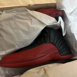 Jordan Retro 12 Flu Game 2025 Size 10.5