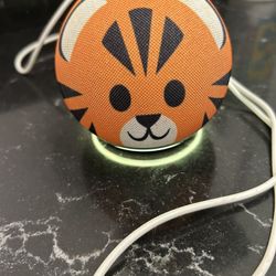 Alexa For Kids 