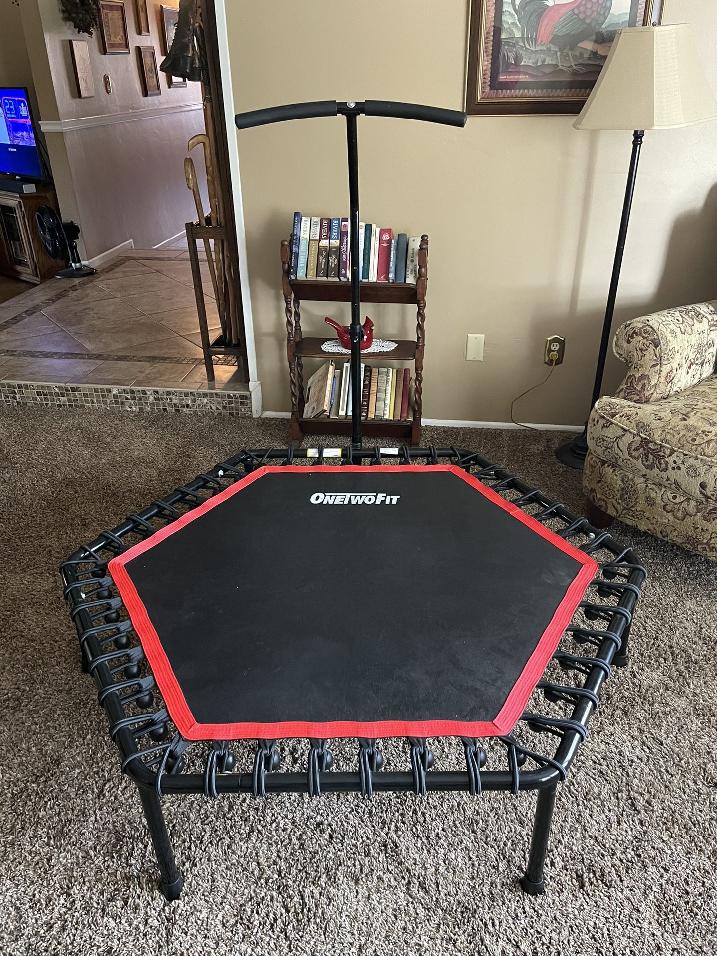 Trampoline / Rebounder for Sale in Bakersfield, CA OfferUp