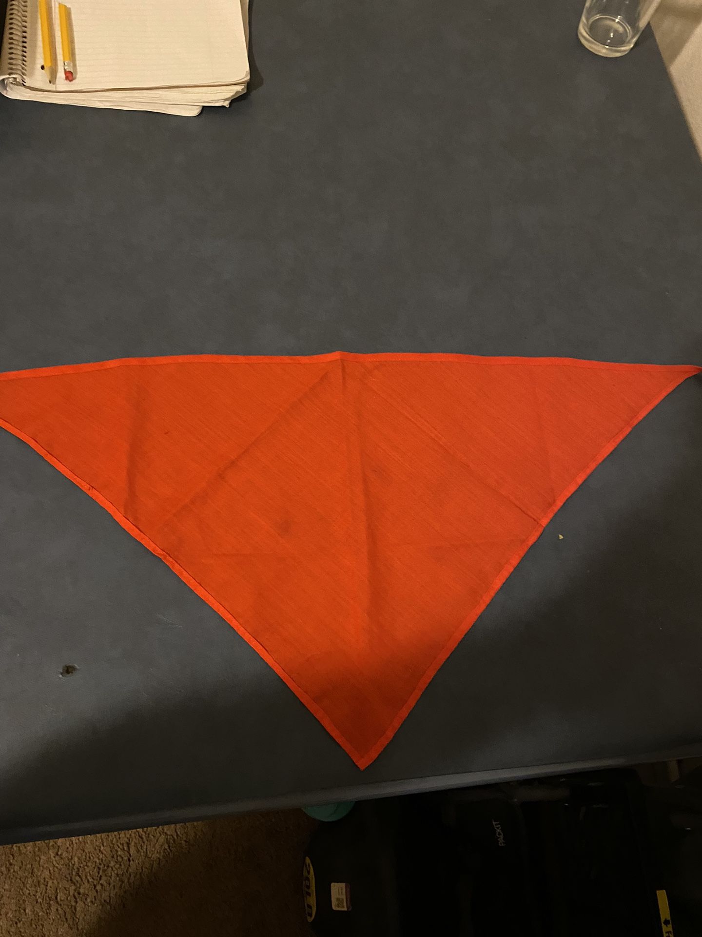 Boy Scouts metals with original bandannas