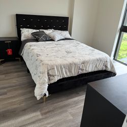 Black/Gold VELVET bed In KING/QUEEN
