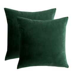 Decorative Throw Pillow Covers Green
