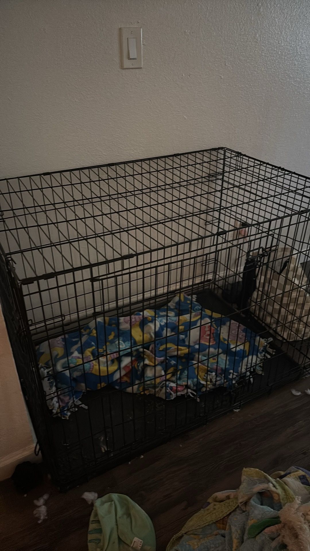 Xxl Dog Crate