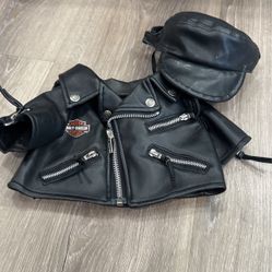 Harley Davidson Small Dog