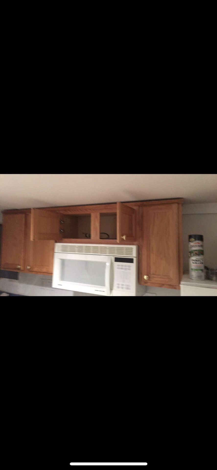 Cabinets and microwave