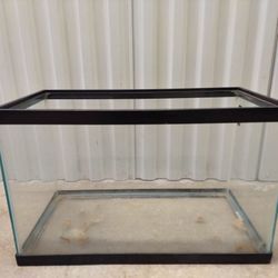 Gerbil Setup Fish Aquarium 