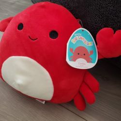 Squishmallows Carlos the Crab 8" Stuffed Plush