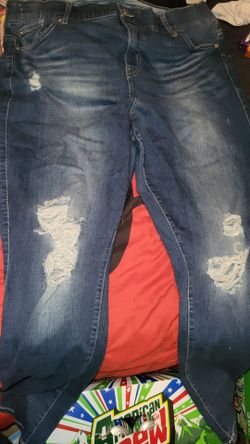Torrid Jeans